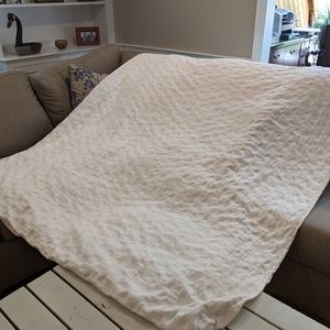 Pottery Barn Teen Twin Dot Duvet Cover & Sham